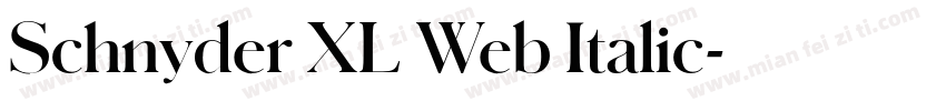 Schnyder XL Web Italic字体转换
